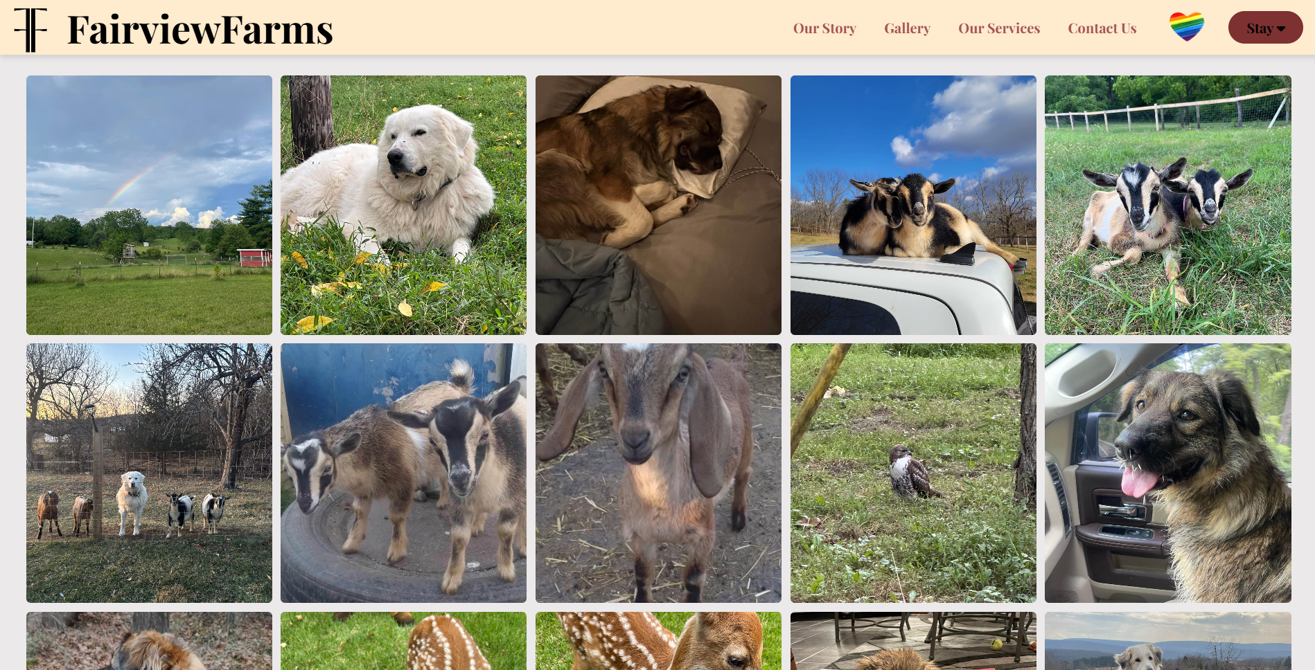 FairviewFarms Gallery Page