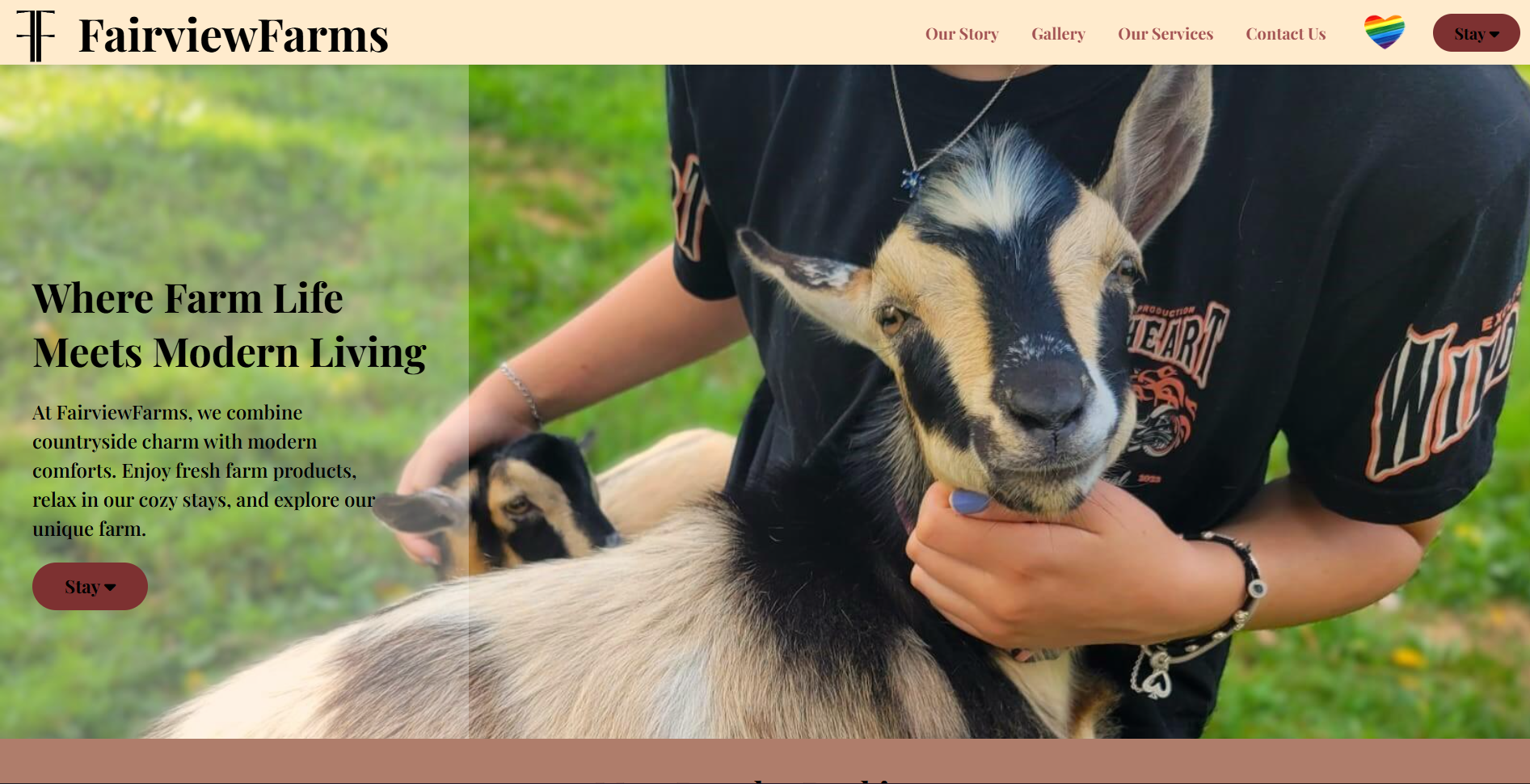 E-commerce platform dashboard